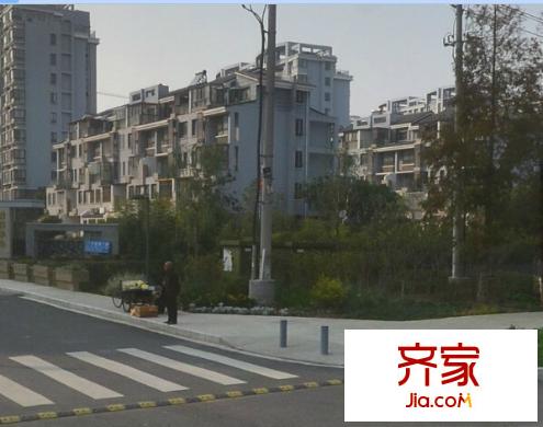 森林半島外景圖 