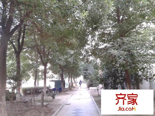 鳳凰城外景圖 