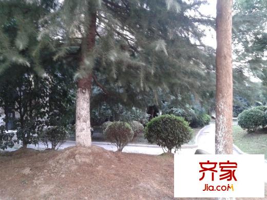 鳳凰城