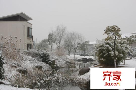耀江淀湖桃源雪景（2013.01）
