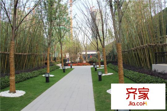觀湖壹號(hào)綠化實(shí)景（2015-10-22）