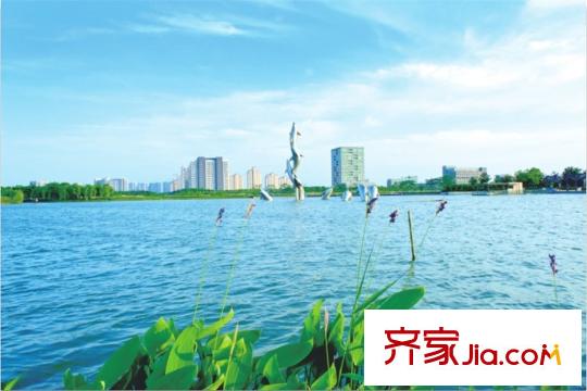 觀湖壹號(hào)西北1.2公里蕭林路中心湖公園景觀