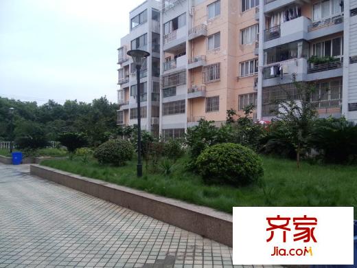 江南明珠苑外景圖 