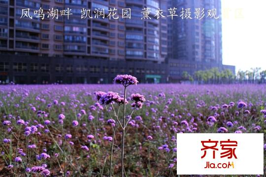 凱潤花園（2015.6）