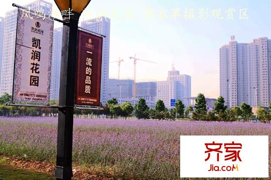 凱潤花園（2015.6）