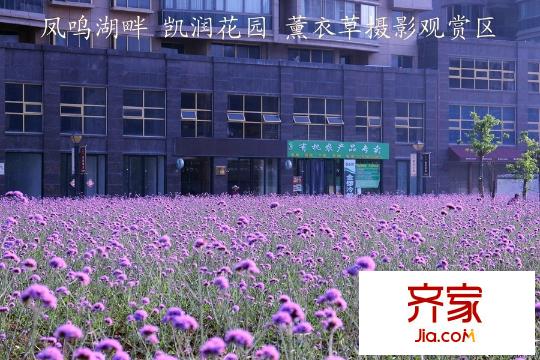 凱潤花園（2015.6）