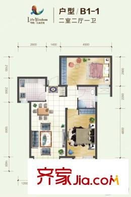 天成佳境戶型圖B1-1戶型兩室兩廳一衛(wèi) 2室1廳1衛(wèi)1廚