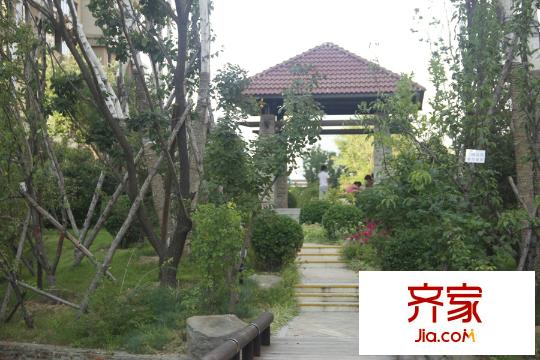 遠洋?海悅公館社區(qū)園林（2015.8.27）