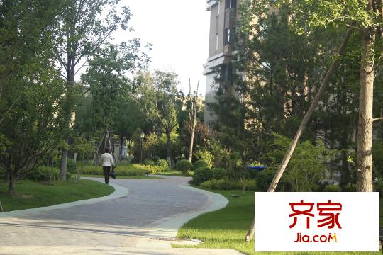 遠洋?海悅公館社區(qū)小路（2015.8.27）