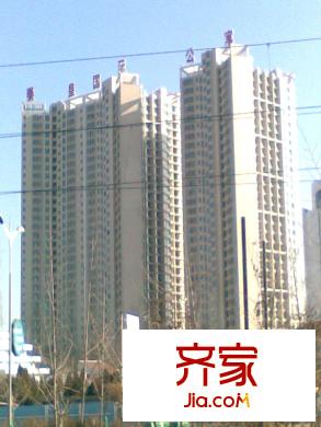 秦皇國際公寓實景圖項目實景(2010.12)