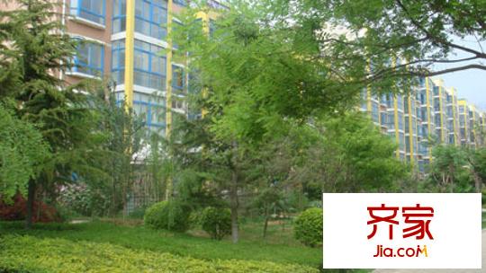 大秦世家外景圖 