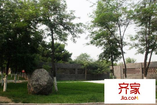 龍熙半島項目園林實景（2015-8-13）