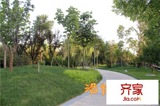 康城?瑞河蘭喬小區(qū)綠化