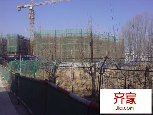 世嘉?正園S3（2014.3.18）