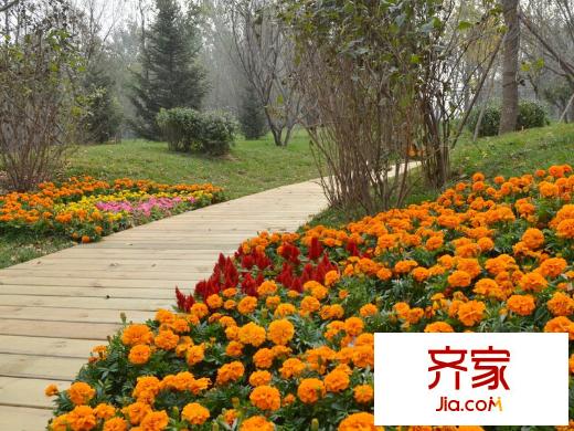 帕克先生售樓處園林實(shí)景（2014.6.15）