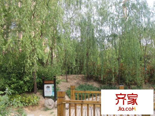 尚華城（二期）小區(qū)實(shí)景（2013.5.23）