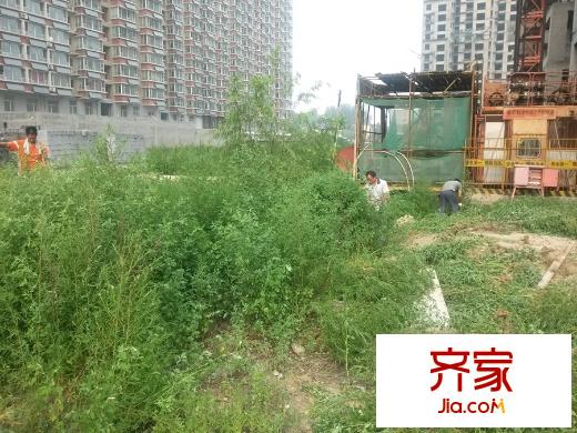 金世紀?花園工地（2015-7-28）
