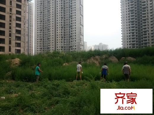金世紀?花園工地（2015-7-28）