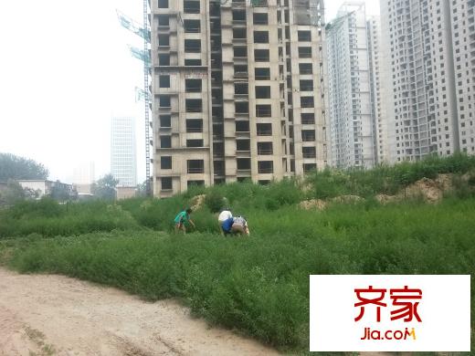 金世紀?花園工地（2015-7-28）