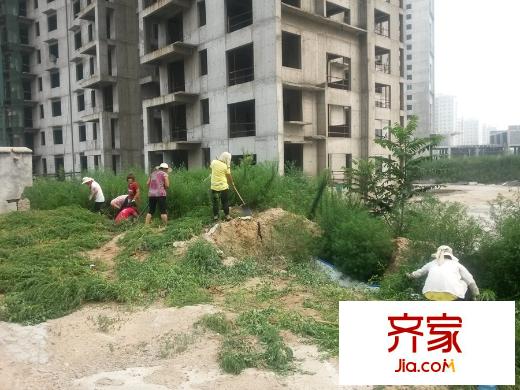 金世紀?花園工地（2015-7-28）