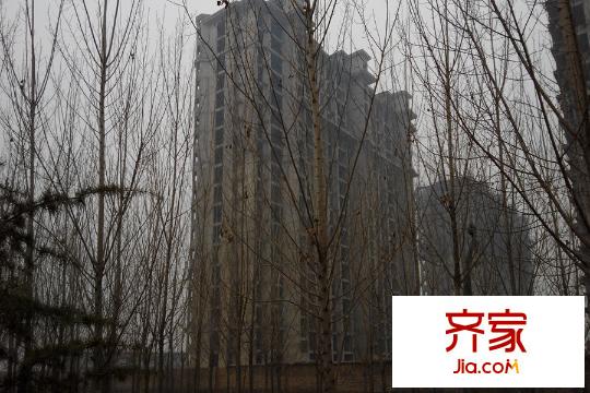 凱萊帝景（2014-1-22）
