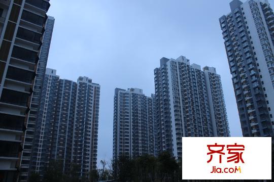 頤景藍(lán)灣項目（2015-11-19）