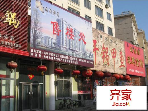 德力富海麗苑實(shí)景圖