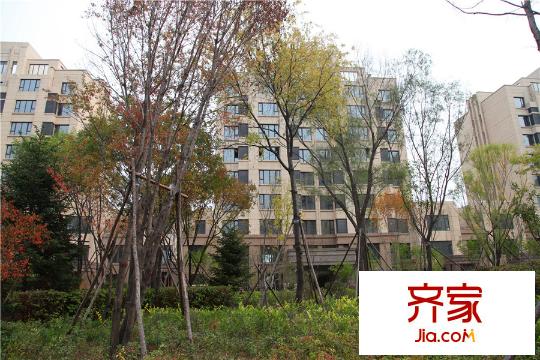 星光江城園區(qū)(2015.8)