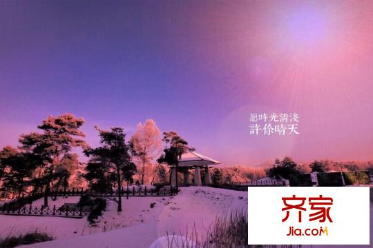 綠洲公元園區(qū)雪景圖