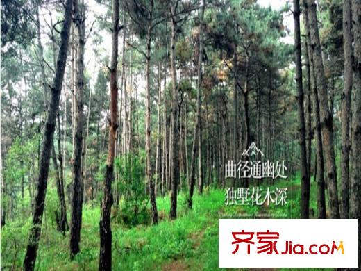 綠洲公元周邊