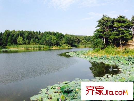 綠洲公元 周邊