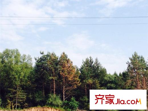 綠洲公元 周邊