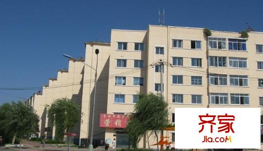 造紙廠公寓樓外景圖2