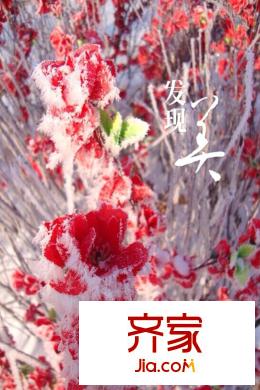 綠洲公元園區(qū)雪景圖