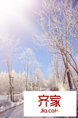 綠洲公元園區(qū)雪景圖