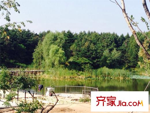綠洲公元 周邊