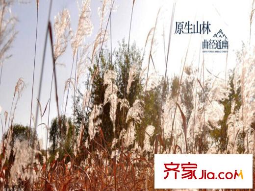 綠洲公元周邊