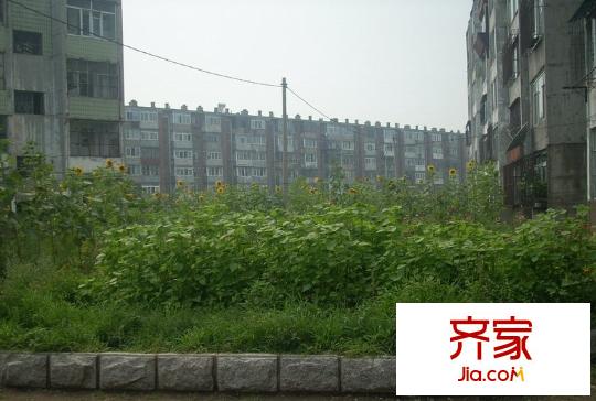 實(shí)化社區(qū)外景圖2