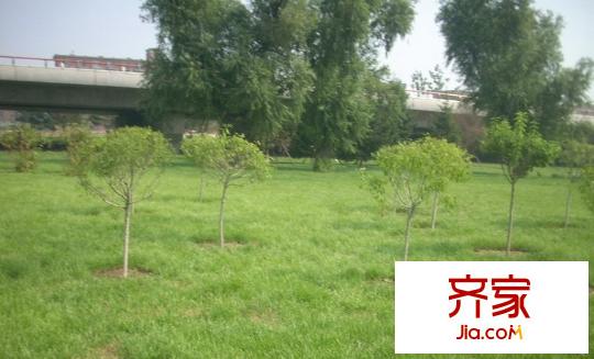 松江社區(qū)外景圖4