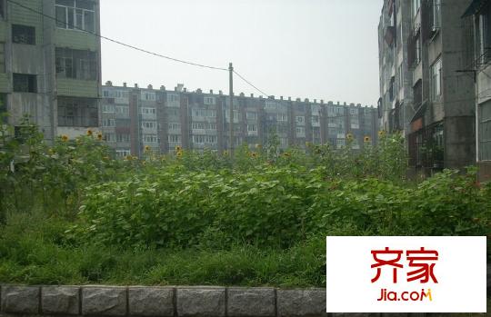 公安街外景圖