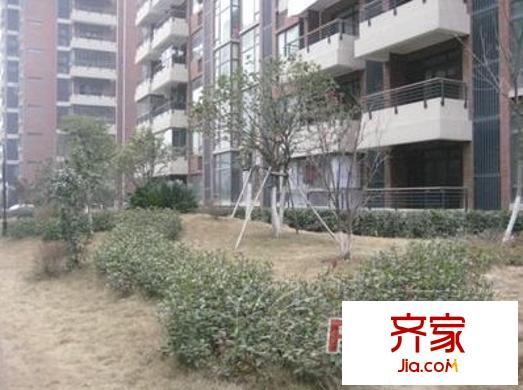 江南小院外景圖j1
