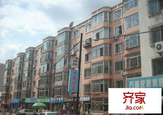 銀龍?jiān)吠饩皥D2