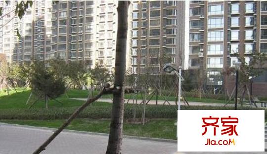 江南壹平方米外景圖江南4