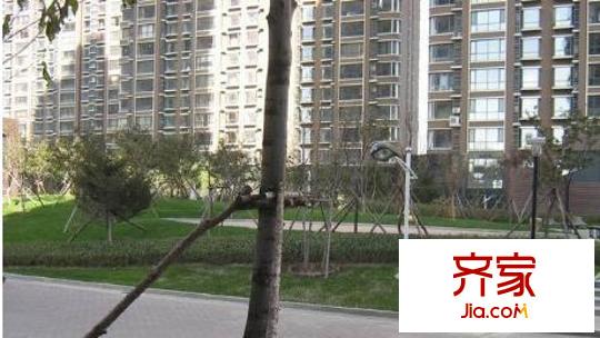 江南壹平方米外景圖江南3