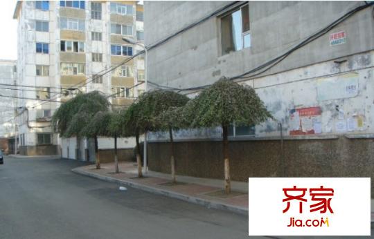 園藝小區(qū)外景圖園藝1