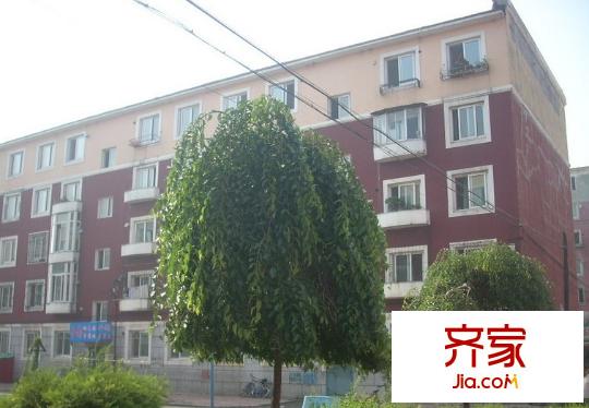 新建北區(qū)外景圖1