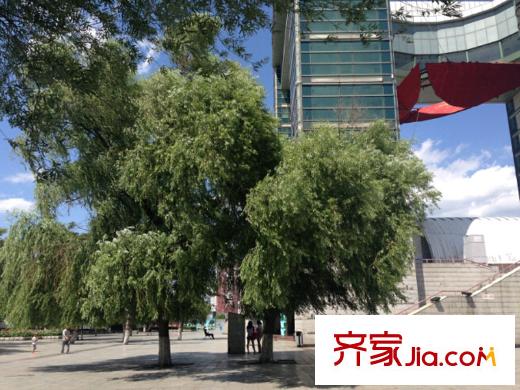 伯爵盛世紀(jì)周邊配套世紀(jì)廣場(chǎng)