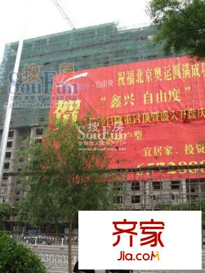鑫興自由度