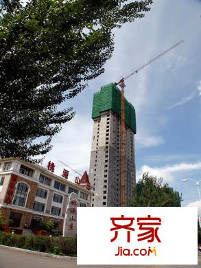 桃源山莊峰景實(shí)景圖