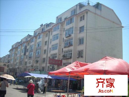 鐵合金中興